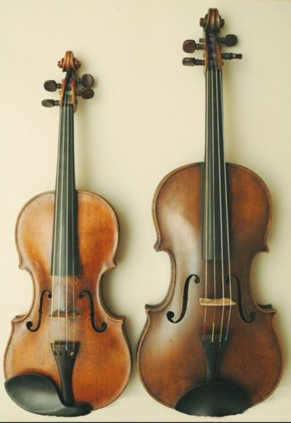 Viola a housle